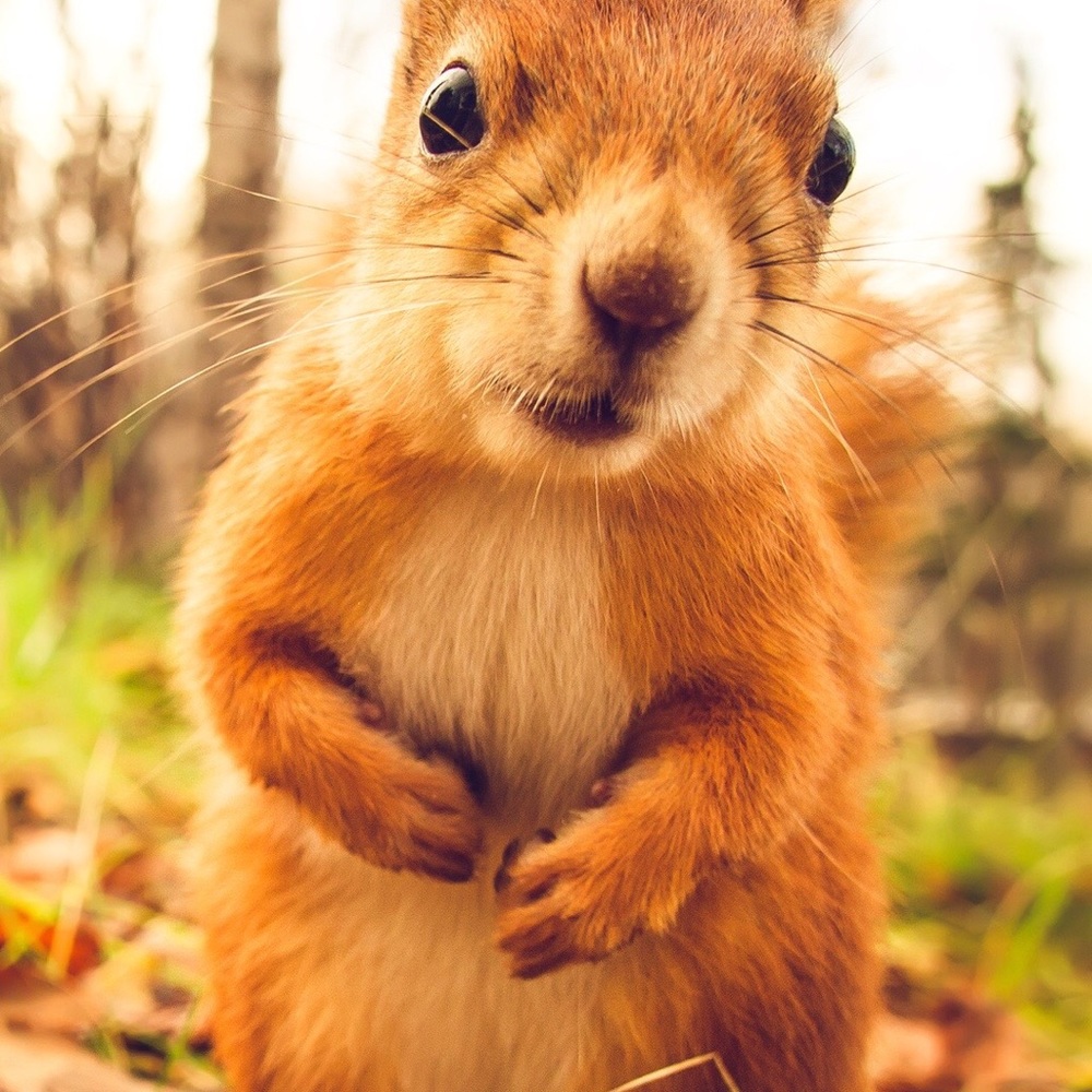 Meet your Posher, Maria